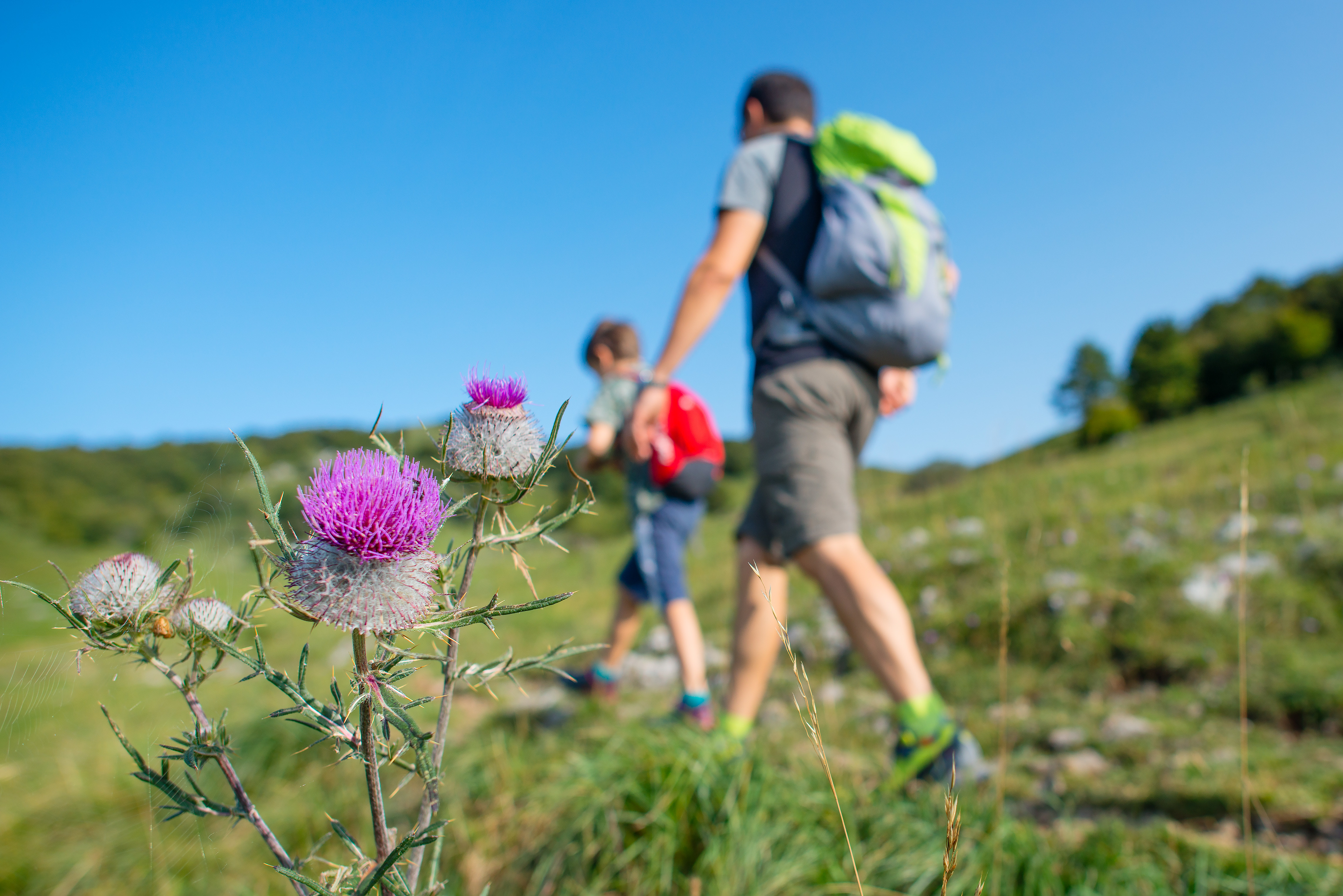 Live more freely after Rolfing® Structural Integration